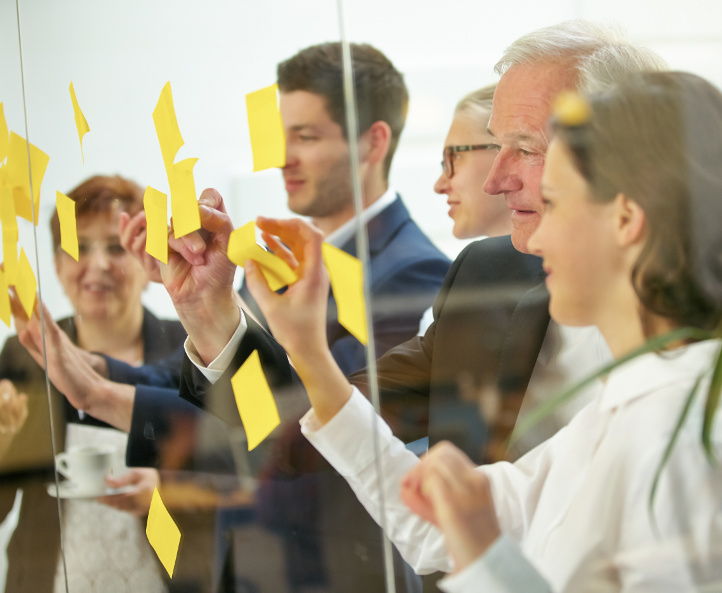 LES ZACCELERATEURS DU MANAGEMENT - Vision et stratégie des managers